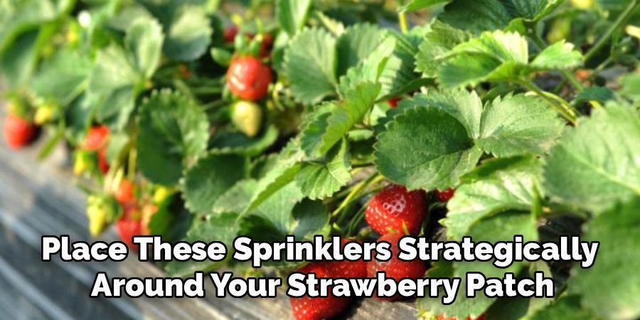 Place These Sprinklers Strategically
Around Your Strawberry Patch