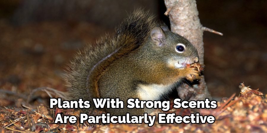 Plants With Strong Scents
Are Particularly Effective