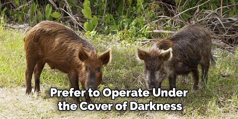 Prefer to Operate Under 
the Cover of Darkness
