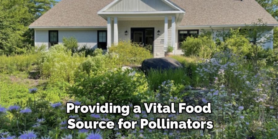 Providing a Vital Food
Source for Pollinators