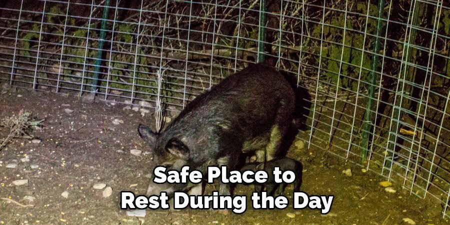 Safe Place to 
Rest During the Day