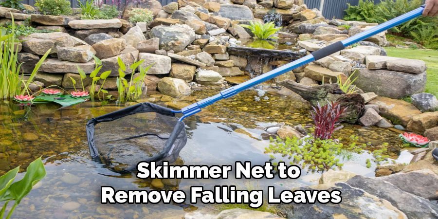 Skimmer Net to 
Remove Falling Leaves