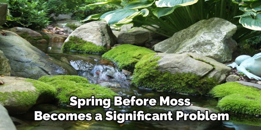 Spring Before Moss 
Becomes a Significant Problem