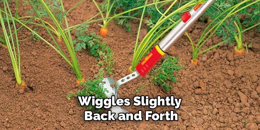 Wiggles Slightly 
Back and Forth
