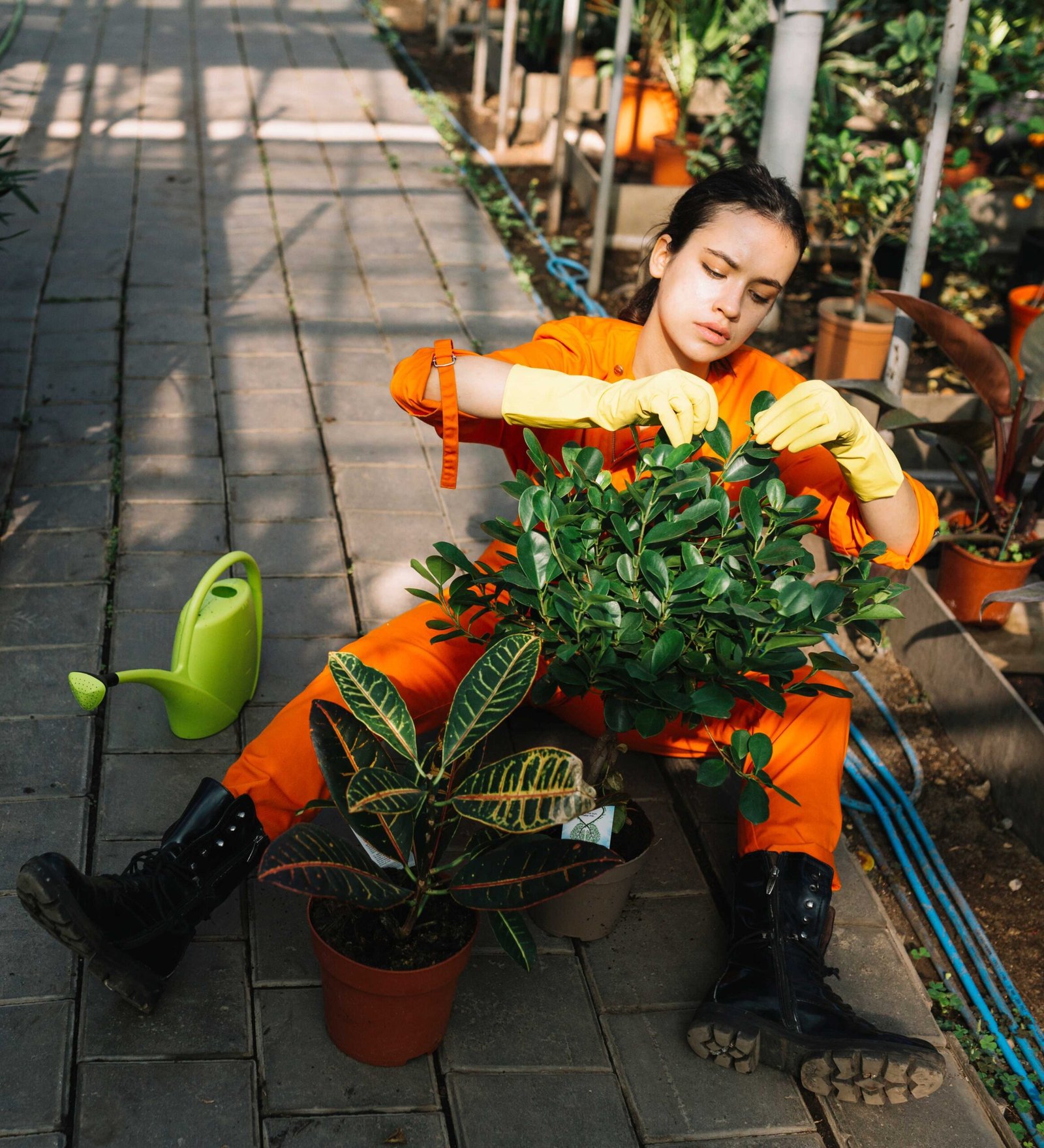 gardenerror