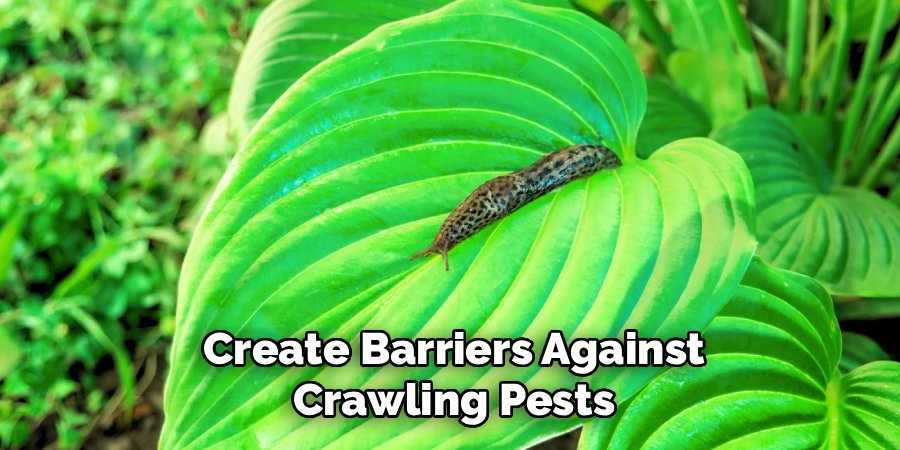 Create Barriers Against Crawling Pests