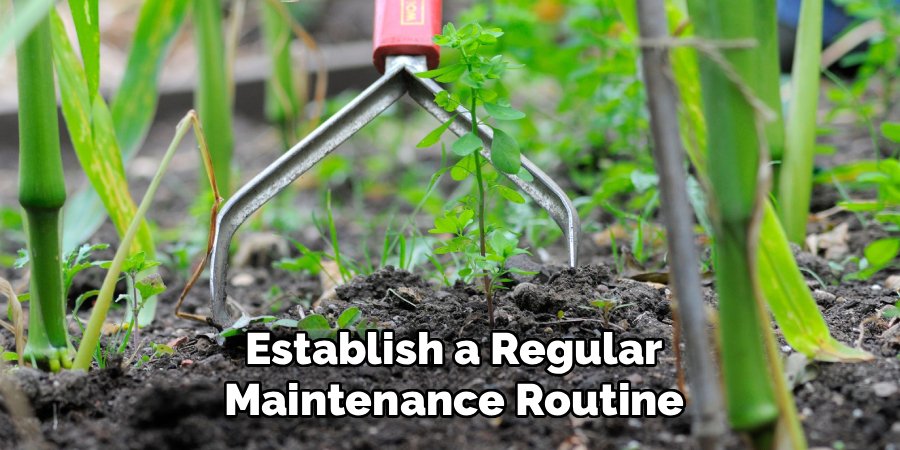 Establish a Regular Maintenance Routine