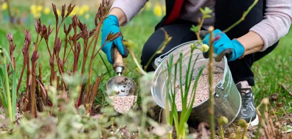 How to Remove Aquatic Weeds From Garden