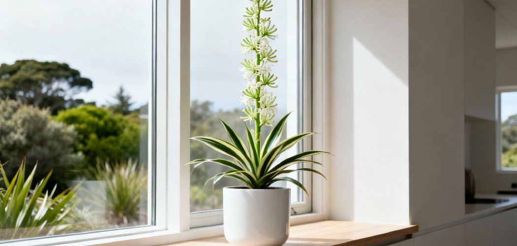 How to Water Large Indoor Plants Without Moving