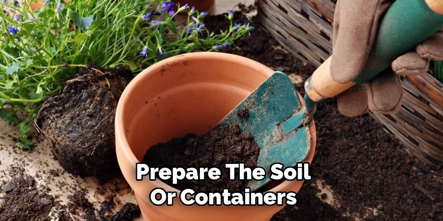 Prepare The Soil Or Containers