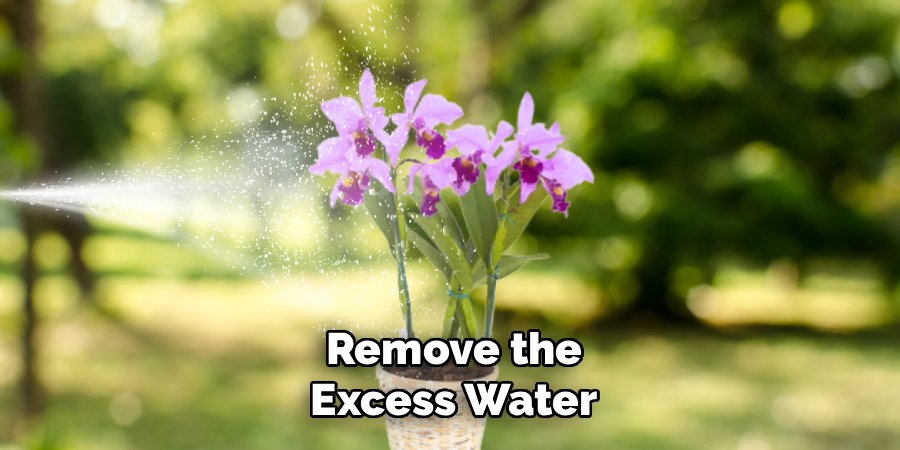 Remove the Excess Water