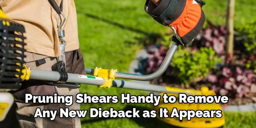 Pruning Shears Handy to Remove 
Any New Dieback as It Appears
