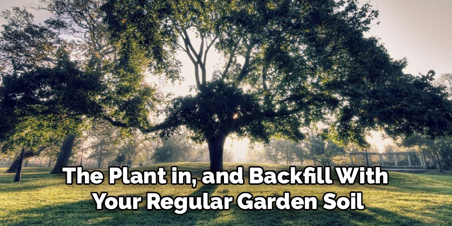 The Plant in, and Backfill With 
Your Regular Garden Soil