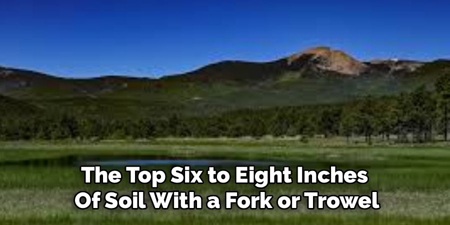 The Top Six to Eight Inches 
Of Soil With a Fork or Trowel