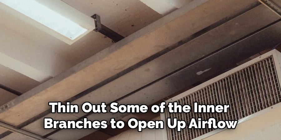 Thin Out Some of the Inner 
Branches to Open Up Airflow