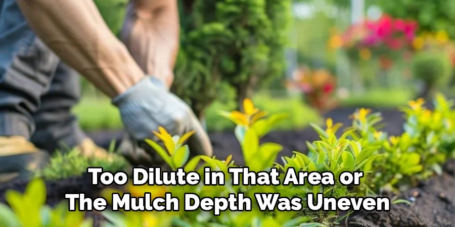 Too Dilute in That Area or 
The Mulch Depth Was Uneven